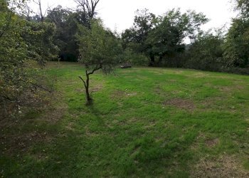 Casa indipendente Regione Ricogno Murassone , 7, Dronero - foto 13