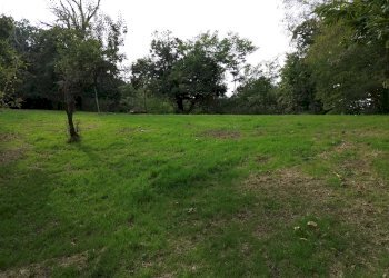 Casa indipendente Regione Ricogno Murassone , 7, Dronero - foto 14