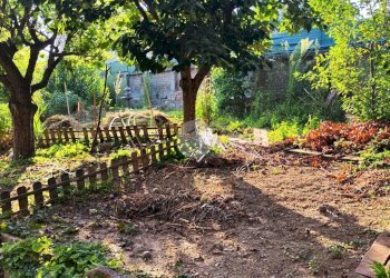 Casa semi indipendente Str. della Borra, Langhirano - foto 14