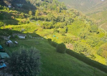 Trilocale VIA DUE DICEMBRE, Genova - foto 15