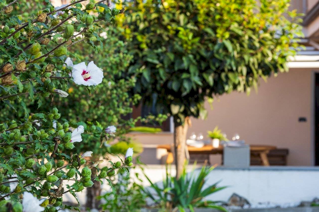 Villa a Schiera Via Centallo, 86, Caraglio - foto 3