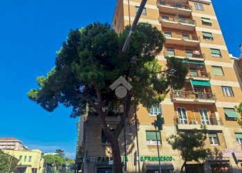 Trilocale Corso Tardy e Benech, Savona (zona Santa Rita) - foto 35