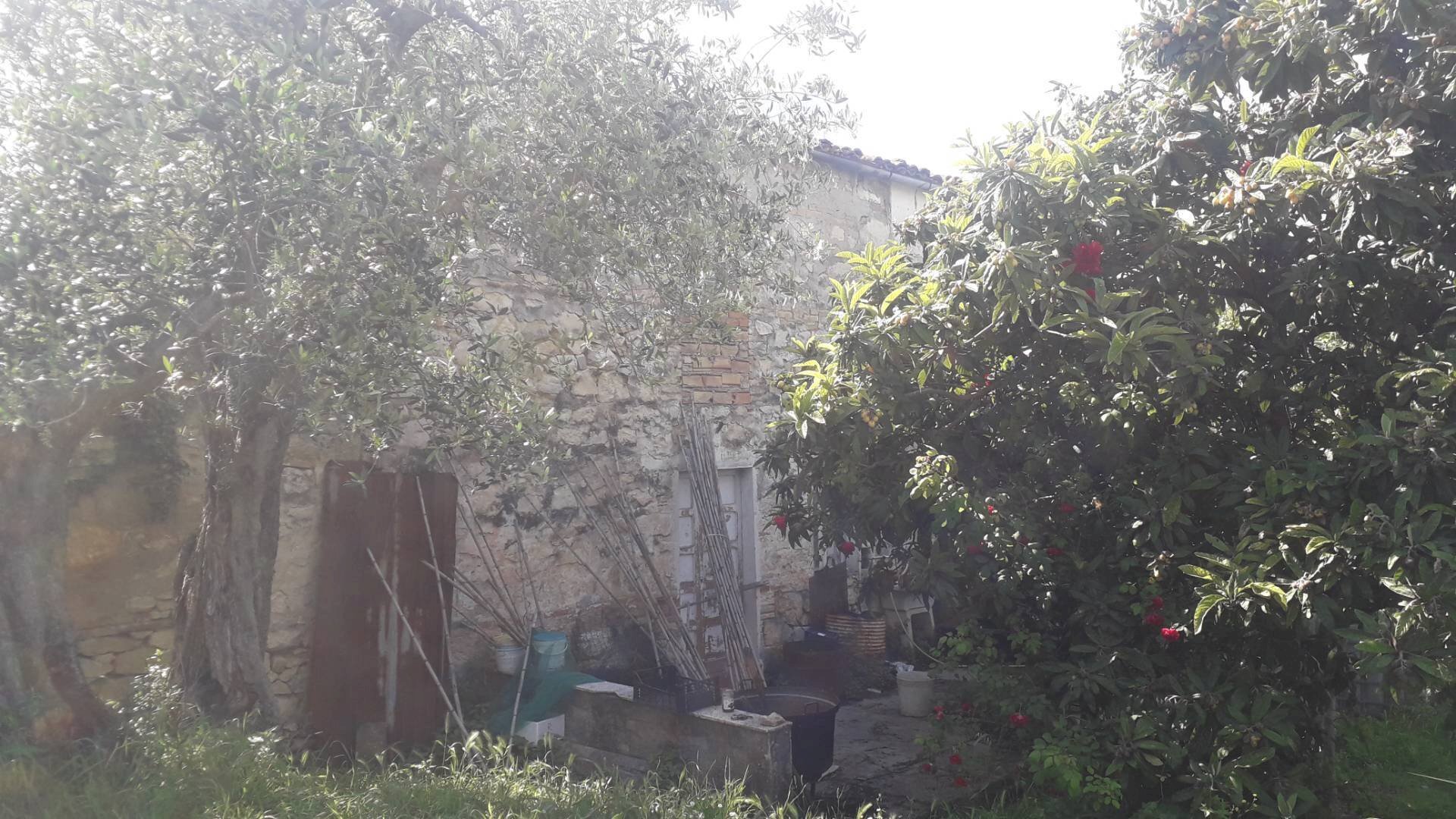 Foto 3 - Terreno edificabile Contrada Carpelle, Manoppello - foto 3