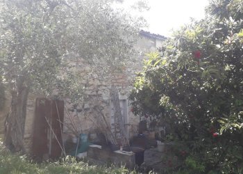 Foto 3 - Terreno edificabile Contrada Carpelle, Manoppello - foto 3