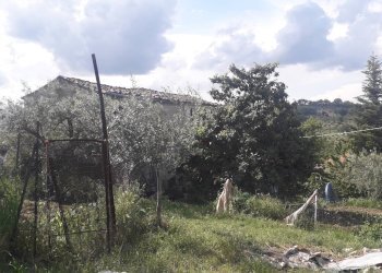 Foto 4 - Terreno edificabile Contrada Carpelle, Manoppello - foto 4