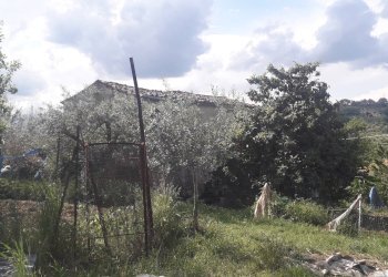 Foto 5 - Terreno edificabile Contrada Carpelle, Manoppello - foto 5