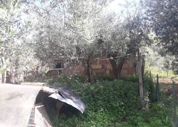 Foto 10 - Terreno edificabile Contrada Carpelle, Manoppello - foto 10