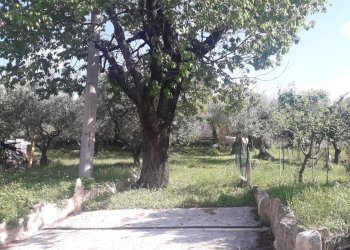 Foto 11 - Terreno edificabile Contrada Carpelle, Manoppello - foto 11