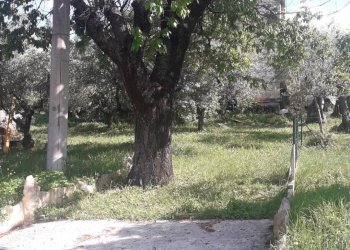 Foto 12 - Terreno edificabile Contrada Carpelle, Manoppello - foto 12