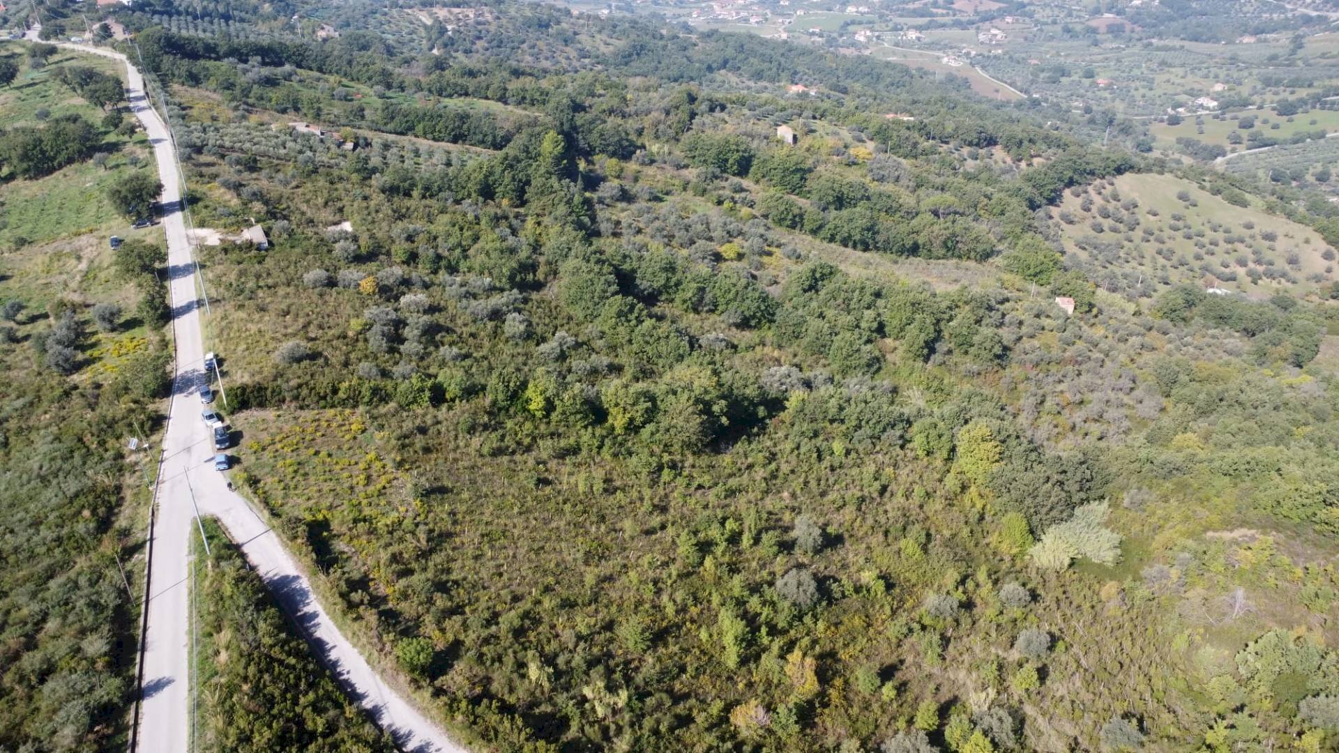 Foto 1 - Terreno agricolo Via Serri
 
snc, Giungano - foto 1