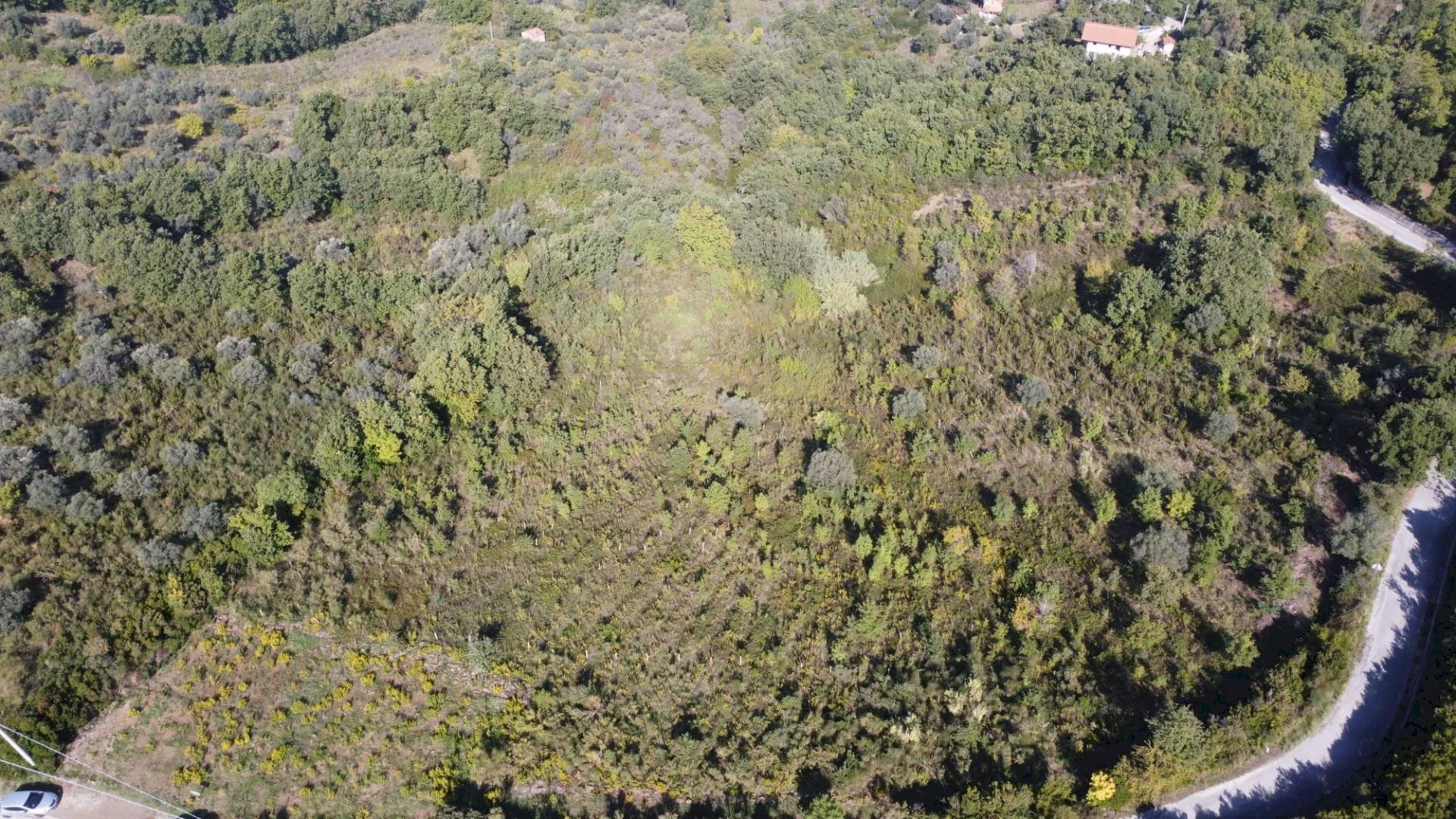 Foto 2 - Terreno agricolo Via Serri
snc, Giungano - foto 2