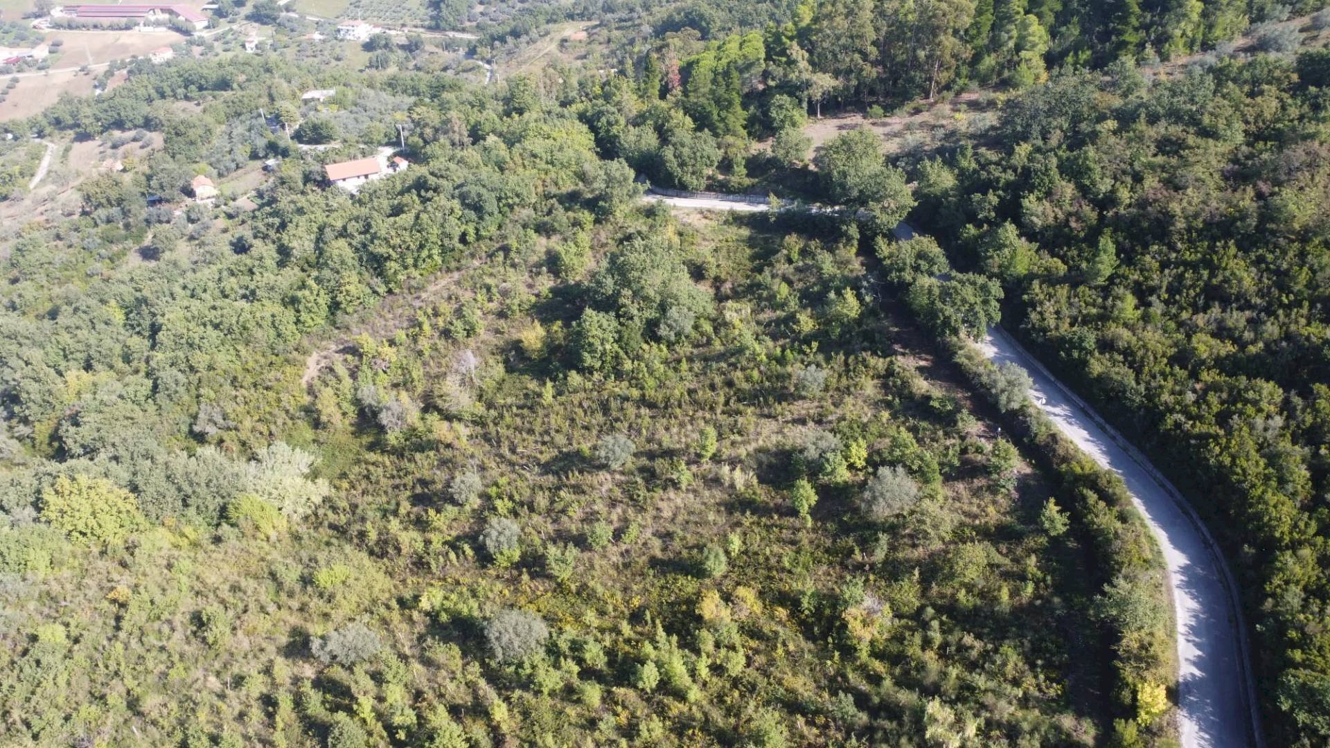 Foto 3 - Terreno agricolo Via Serri
snc, Giungano - foto 3