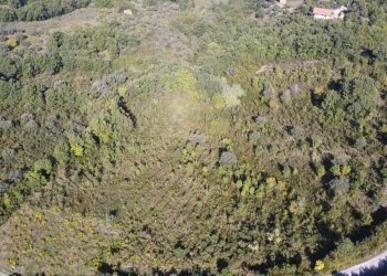 Foto 2 - Terreno agricolo Via Serri
 
snc, Giungano - foto 2