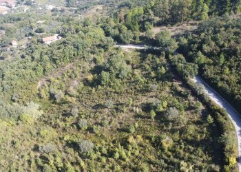 Foto 3 - Terreno agricolo Via Serri
 
snc, Giungano - foto 3