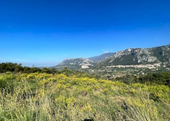 Foto 9 - Terreno agricolo Via Serri
 
snc, Giungano - foto 9