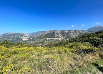 Foto 10 - Terreno agricolo Via Serri
 
snc, Giungano - foto 10