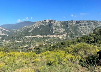 Foto 15 - Terreno agricolo Via Serri
 
snc, Giungano - foto 15