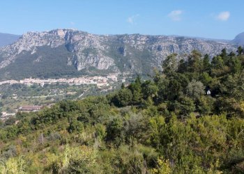 Foto 18 - Terreno agricolo Via Serri
 
snc, Giungano - foto 18