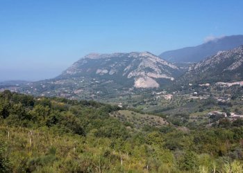 Foto 19 - Terreno agricolo Via Serri
 
snc, Giungano - foto 19