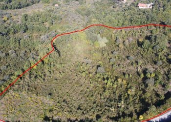 Foto 21 - Terreno agricolo Via Serri
 
snc, Giungano - foto 21