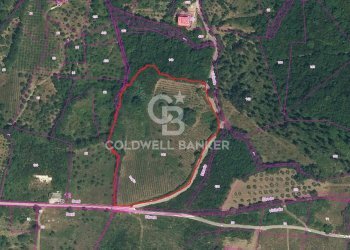 Foto 22 - Terreno agricolo Via Serri
 
snc, Giungano - foto 22