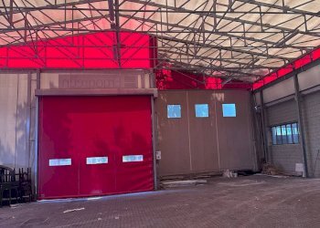 Foto 15 - Shed Seveso - photo 15