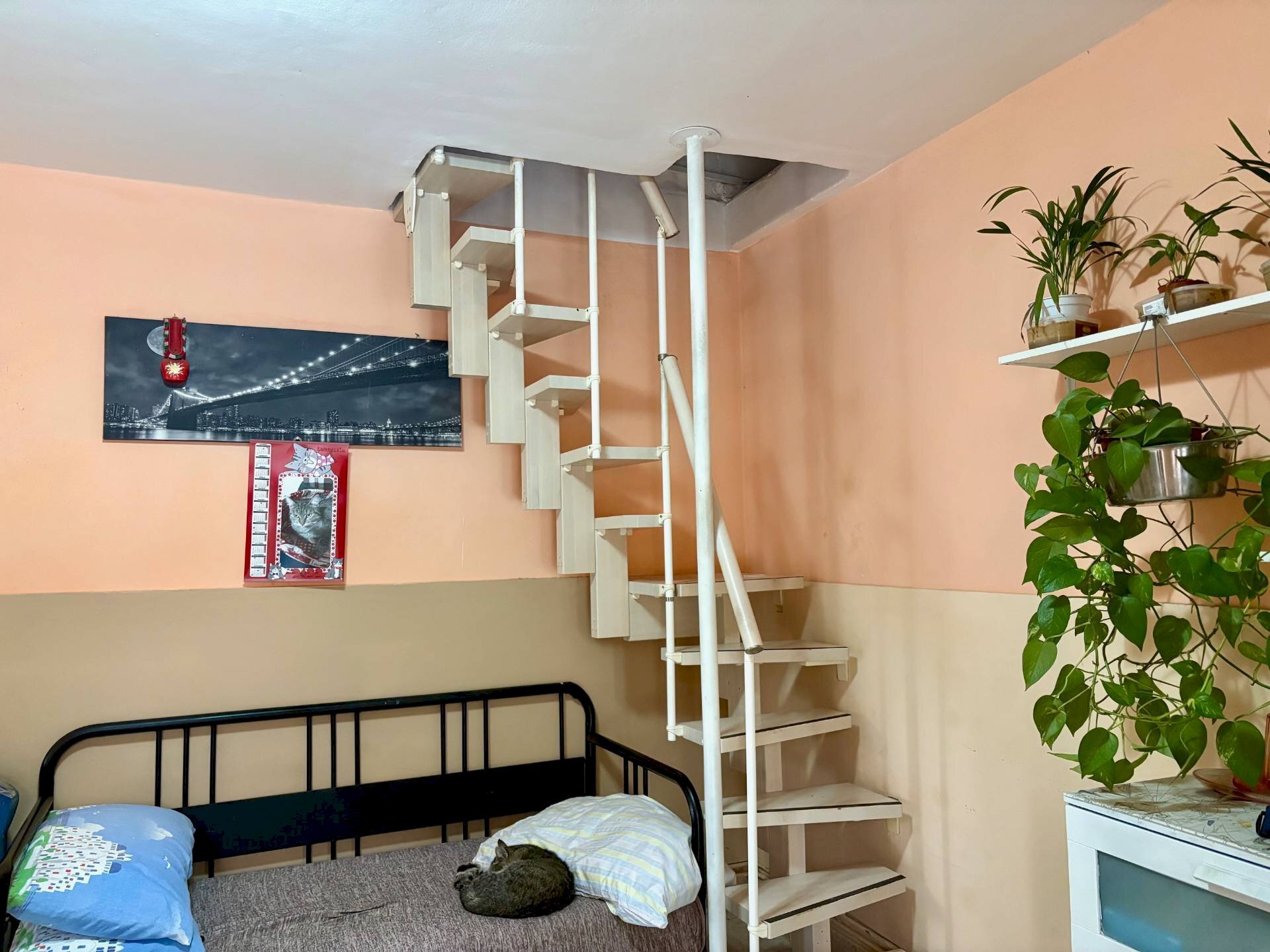 Foto 2 - Casa indipendente via Gaggiola, Montemarciano - foto 2