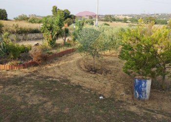 Giardino - Villa contrada san cataldo, Caltagirone - foto 22