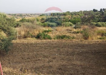 Vista delle montagne - Villa contrada san cataldo, Caltagirone - foto 24