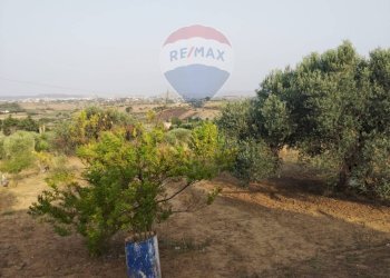 Giardino - Villa contrada san cataldo, Caltagirone - foto 27