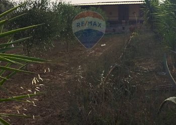 Giardino - Villa contrada san cataldo, Caltagirone - foto 29