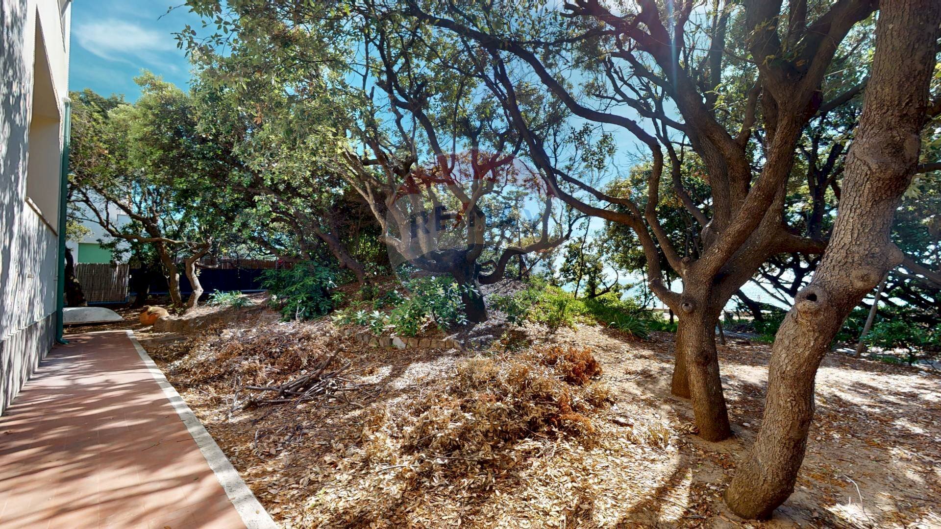 Giardino - Cantina / Solaio San Vincenzo - foto 3