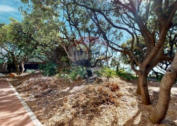 Giardino - Cantina / Solaio San Vincenzo - foto 3