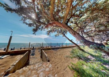 Vista dell\'acqua - Cantina / Solaio San Vincenzo - foto 7