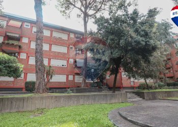 Edificio all\'aperto - Appartamento VIA PIENZA
 
243, Roma - foto 51
