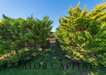 Foto 49 - Villa Loc. Baja Sardinia, Arzachena - foto 49