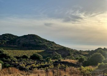 Foto 13 - Villa Via Ziton di Nikà
 
snc, Pantelleria - foto 13