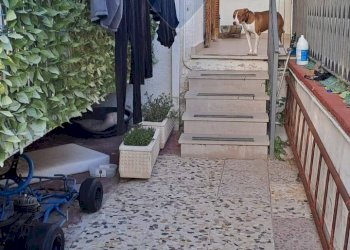 Terrazza - Casa indipendente via giacomo leopardi, Cellole - foto 16