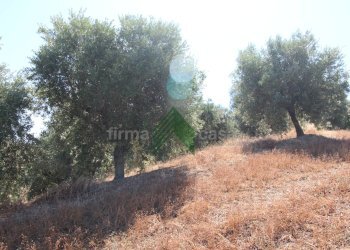 Foto 12 - Rustico Contrada San Martino, Teramo - foto 12