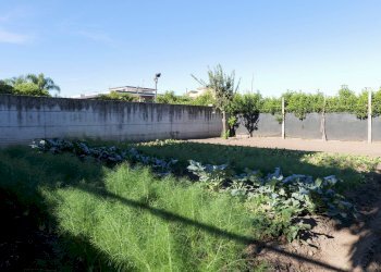 Foto 10 - Stabile - Palazzo via cimitero
 
10, Mariglianella - foto 10