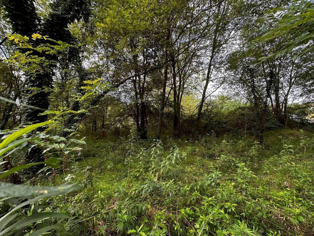 Terreno - Terreno edificabile via Fratelli di Dio, Busto Arsizio - foto 1