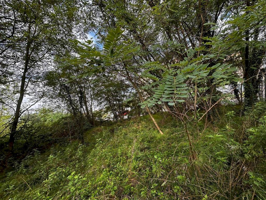 Terreno - Terreno edificabile via Fratelli di Dio, Busto Arsizio - foto 2