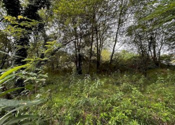 Terreno - Terreno edificabile via Fratelli di Dio, Busto Arsizio - foto 1