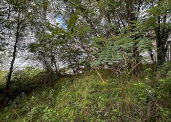 Terreno - Terreno edificabile via Fratelli di Dio, Busto Arsizio - foto 2