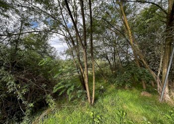 Terreno - Terreno edificabile via Fratelli di Dio, Busto Arsizio - foto 5