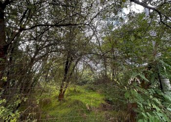 Terreno - Terreno edificabile via Fratelli di Dio, Busto Arsizio - foto 7