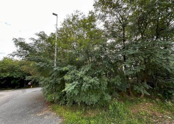 Zona - Terreno edificabile via Fratelli di Dio, Busto Arsizio - foto 9