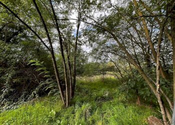 Terreno - Terreno edificabile via Fratelli di Dio, Busto Arsizio - foto 10