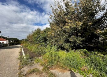 Terreno - Terreno edificabile via Fratelli di Dio, Busto Arsizio - foto 11