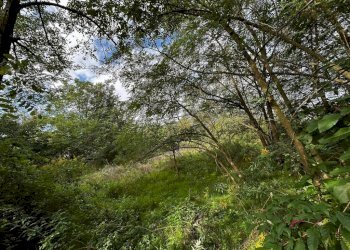 Terreno - Terreno edificabile via Fratelli di Dio, Busto Arsizio - foto 12